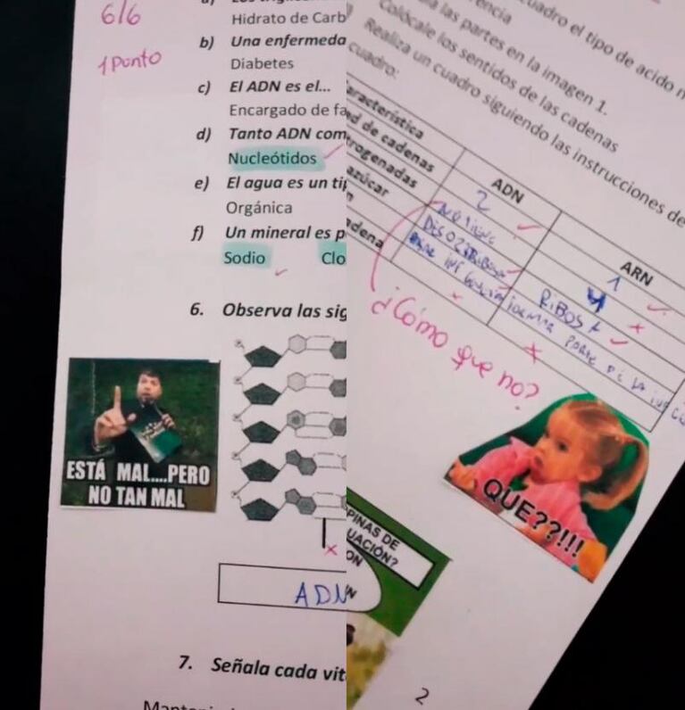 Corrigió las pruebas de sus alumnos con memes y ahora es furor