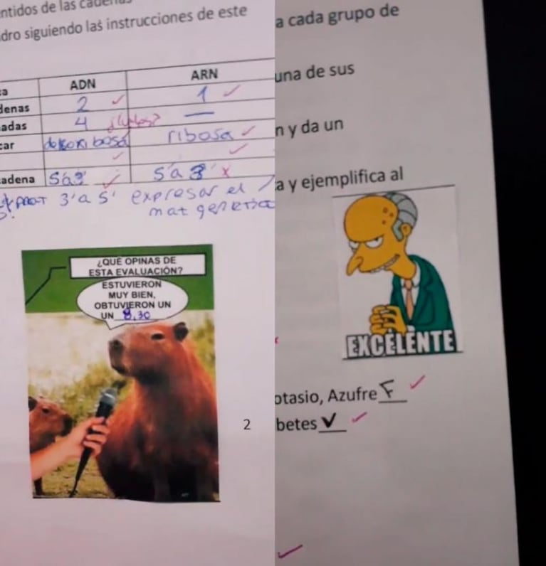 Corrigió las pruebas de sus alumnos con memes y ahora es furor