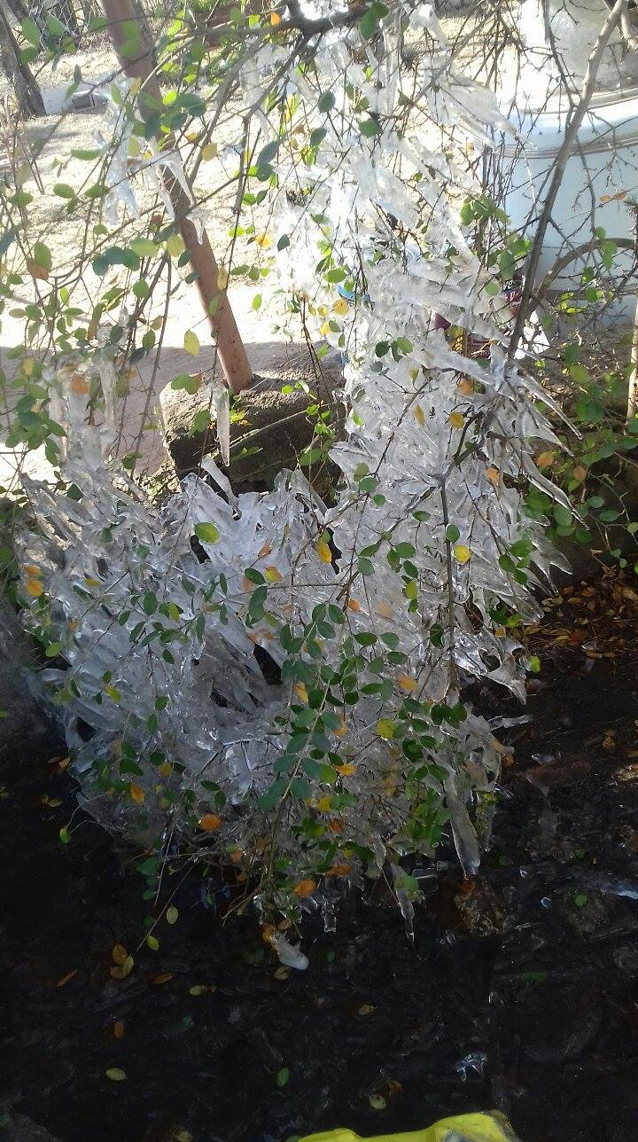 Cosquín bajo hielo. Foto de Yas Duarte.