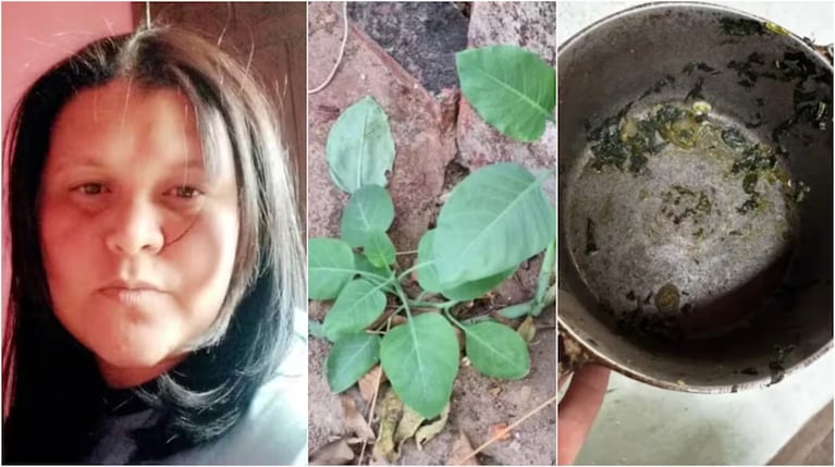 Creyeron que era repollo y comieron una planta venenosa: un muerto y dos internados graves