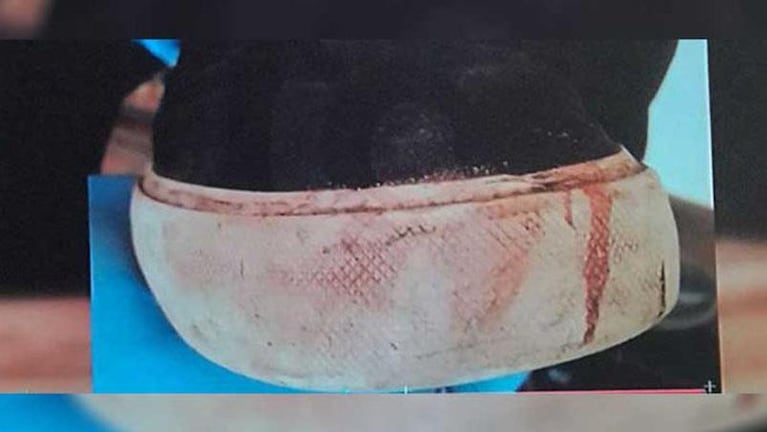 Crimen en Villa Gesell: la zapatilla con la que uno de los rugbiers mató a Báez Sosa