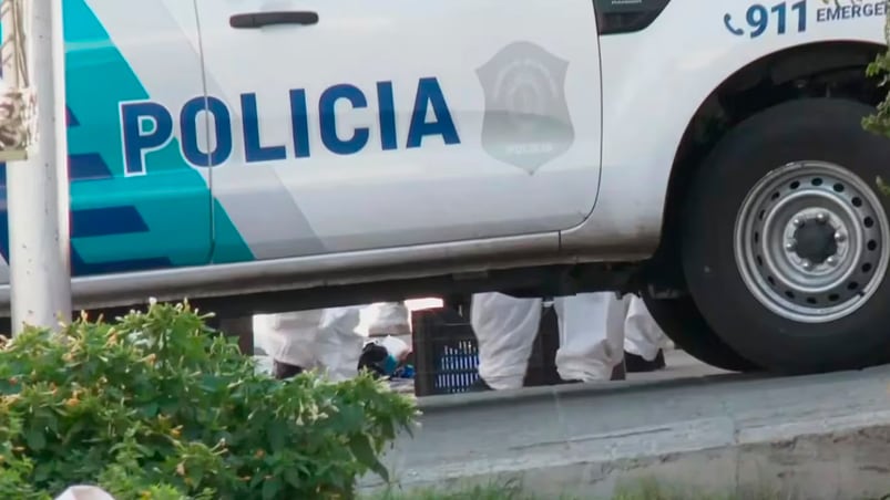 crimen lanus descuartizado valija