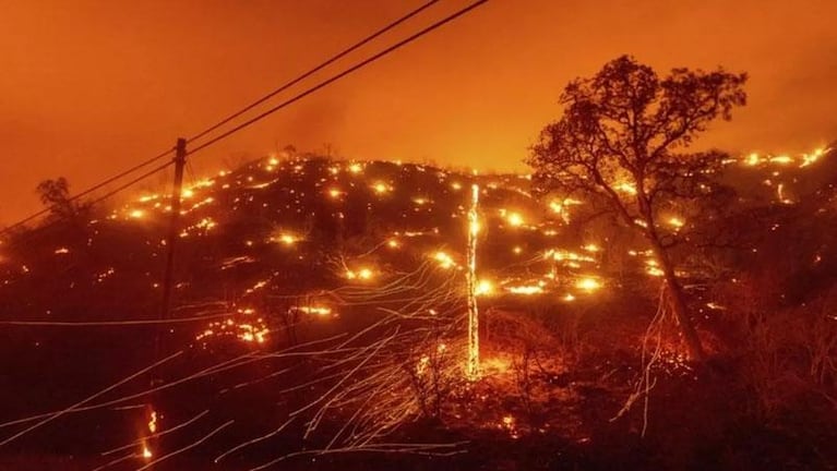 Crisis climática anunciada: los desastres en cadena en el mundo