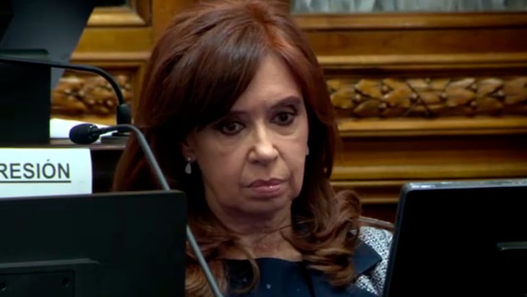 Cristina escucha las opiniones de sus colegas en el Senado.