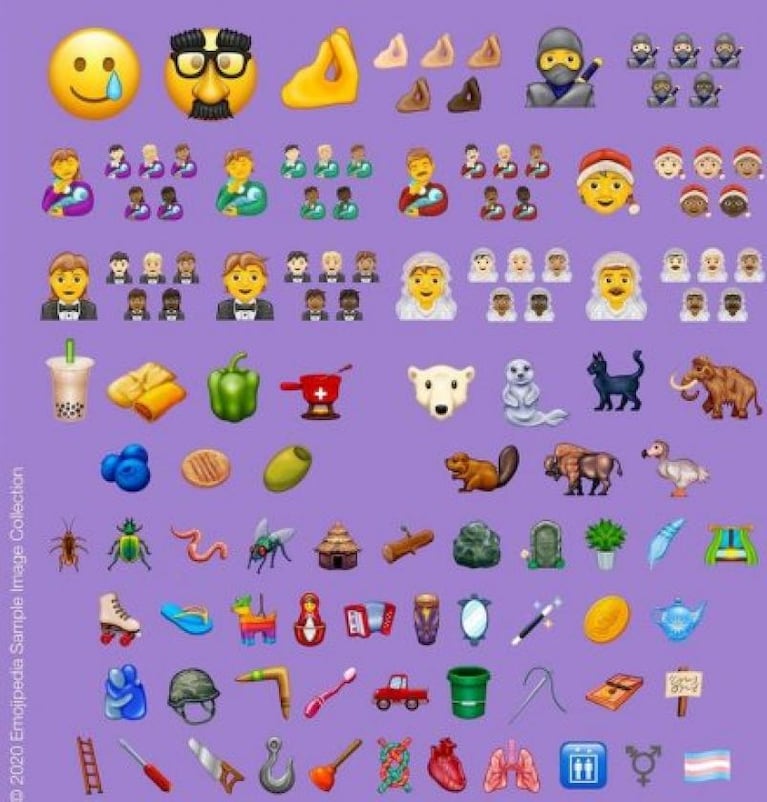 Cuáles son los emojis que se vienen para Whatsapp en 2020