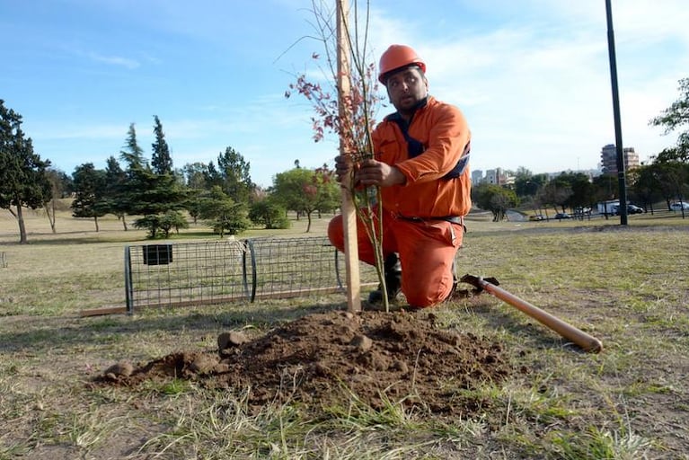 Cuando la conciencia ambiental se hace política pública en la ciudad