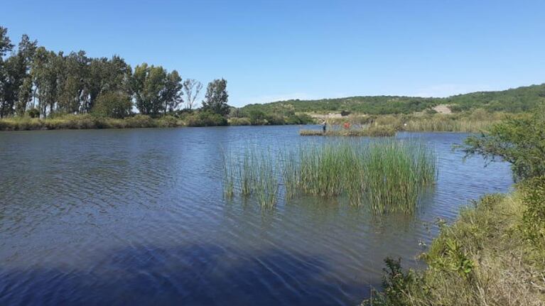 Cuando les preguntaron, respondieron con total naturalidad. Foto: Policía de Córdoba.