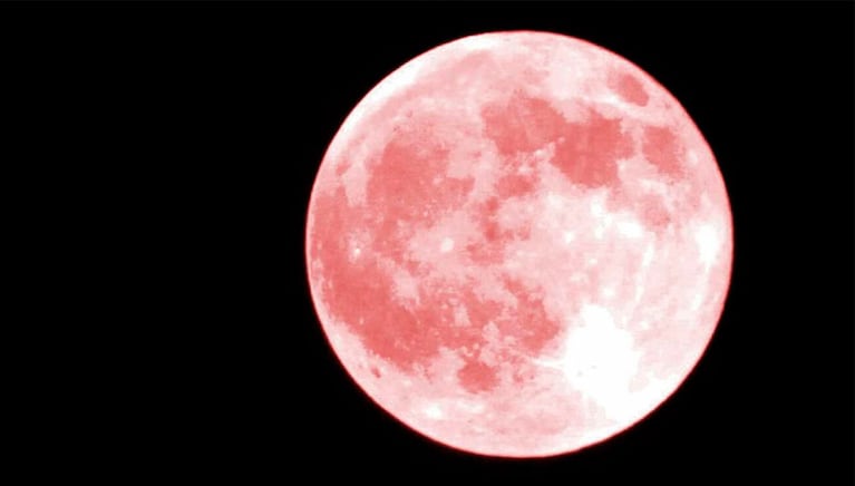 Cuándo se podrá ver la Luna Rosa en Argentina