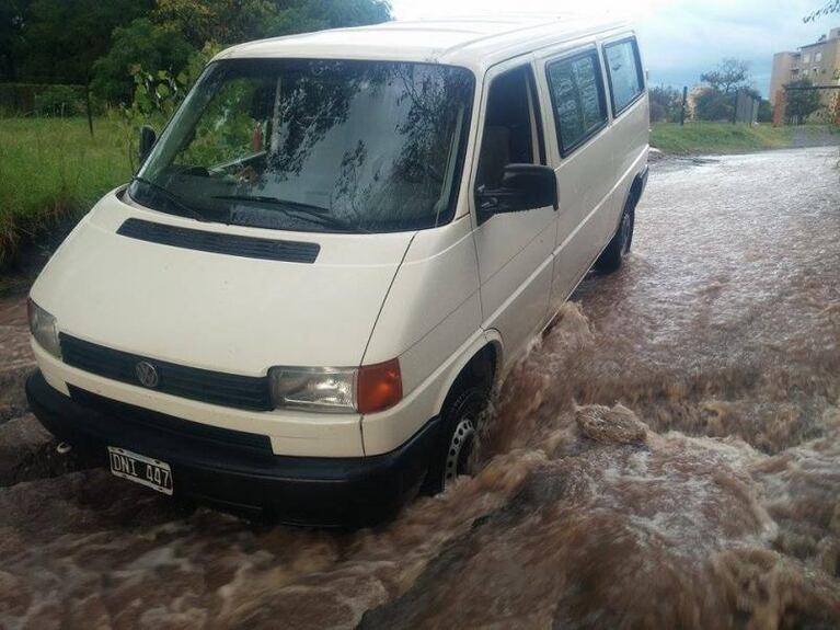 Cuidado: "bachezononones" después de las lluvias 