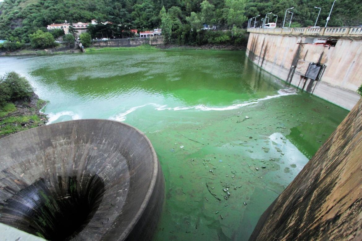 Cuidado con las cianobacterias de los lagos