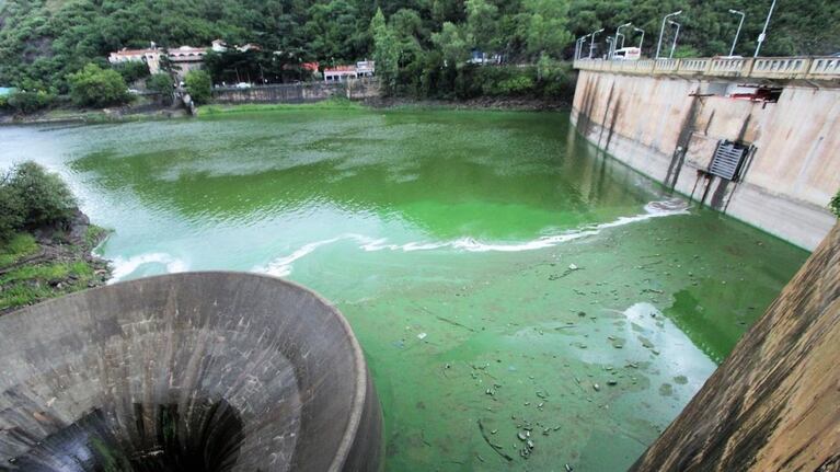 Cuidado con las cianobacterias de los lagos