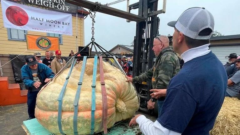 Cultivó una calabaza gigante y batió todos los récords de Estados Unidos