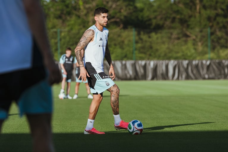 Cuti Romero y Julián Álvarez se recuperaron y ya entrenan con normalidad en la Selección