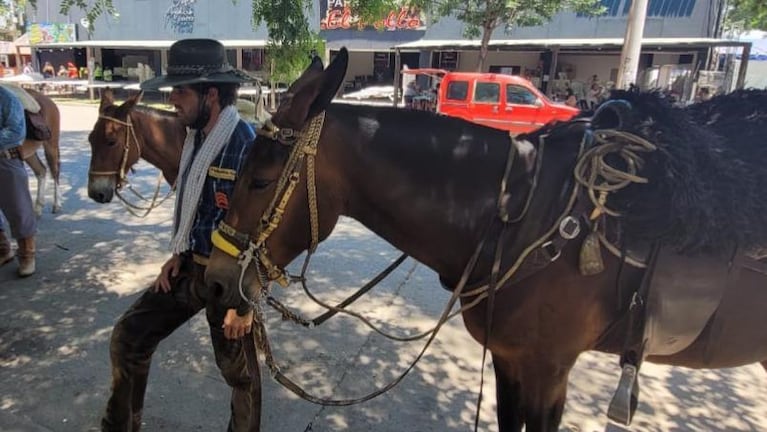 De Colombia al Festival de Jesús María: hizo 8.000 kilómetros en mula