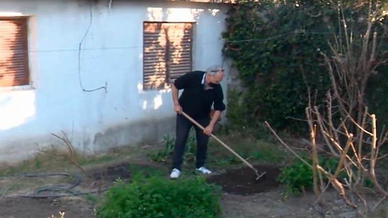 De fotógrafo a sobrevivir con una huerta en su casa: “No tenía comida, me salvó la verdura”