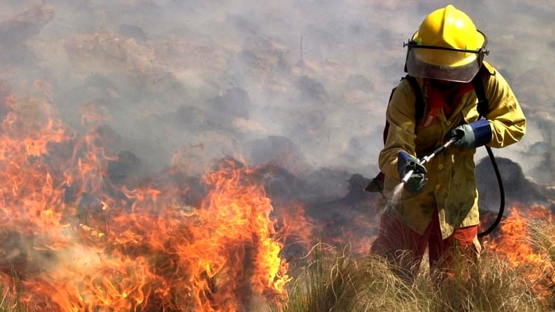 De los tres focos de incendios en Córdoba, uno solo sigue activo. Foto: Gobierno de Córdoba