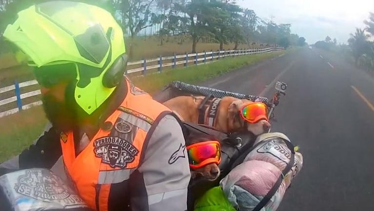 De México a Calamuchita: viaja en moto por Latinoamérica con sus dos perras