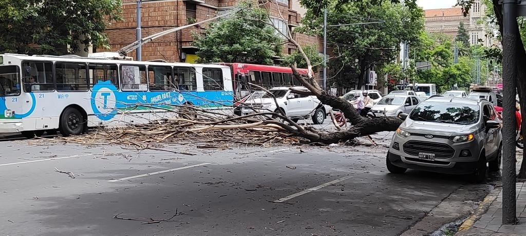 De milagro no hubo heridos ni daos materiales.