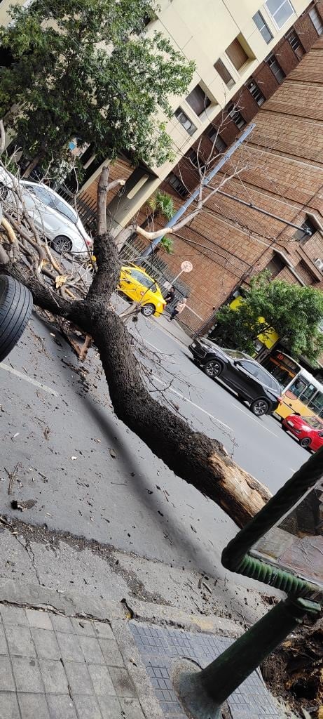 De milagro no hubo heridos ni daos materiales.