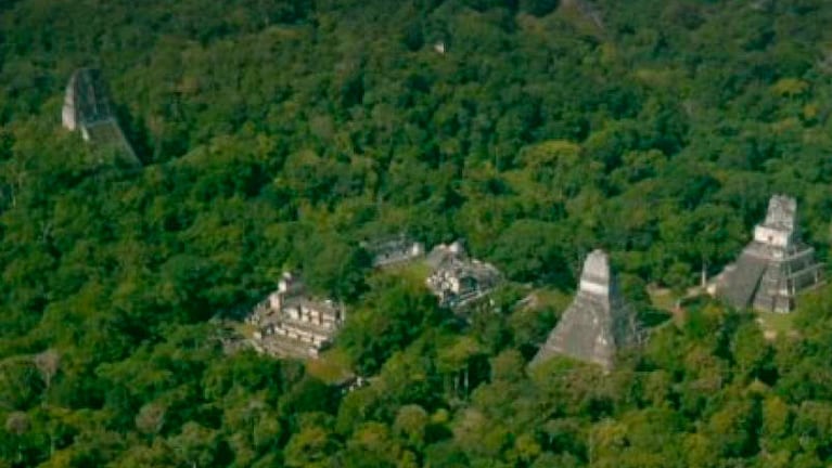 Debajo de la jungla, hay una civilización oculta en Guatemala.