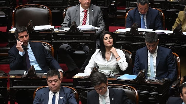 Debate de diputados por el régimen de DNU.