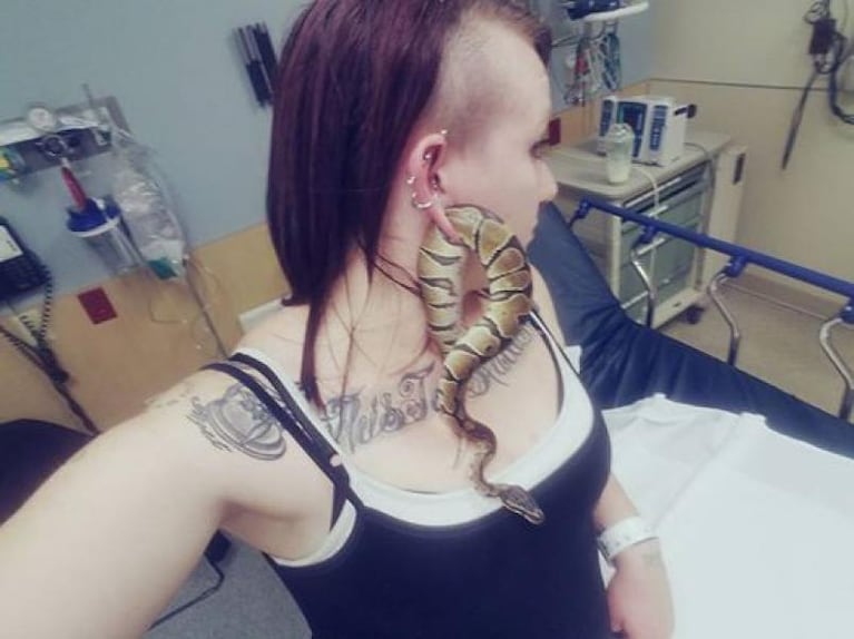 Debieron sacarle su serpiente de la oreja