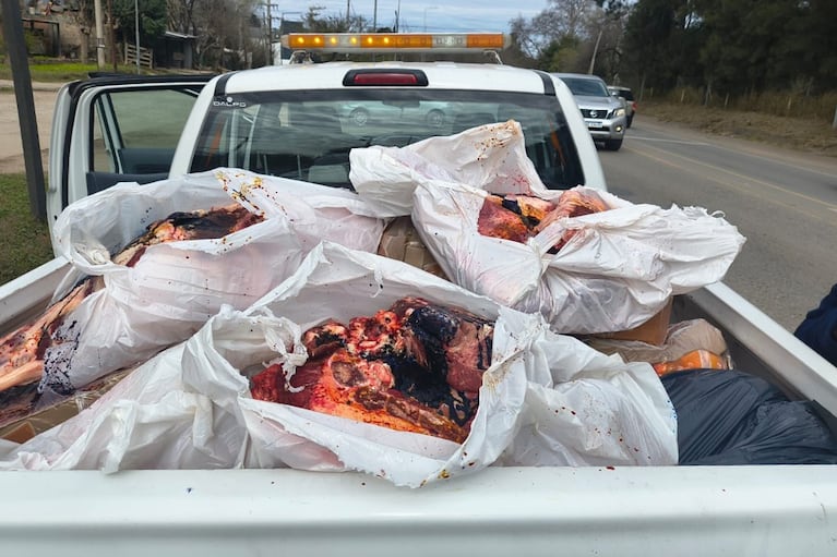 Decomisaron 370 kilos de carne en Mendiolaza.