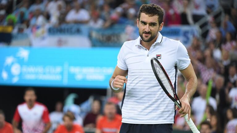 Del Potro agigantó aún más su leyenda en el tenis mundial. Foto: Copa Davis.