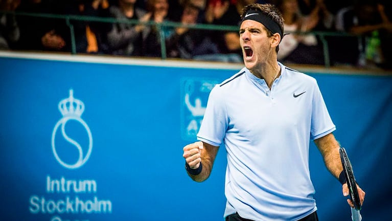 Del Potro jugó su mejor partido del torneo en la final.