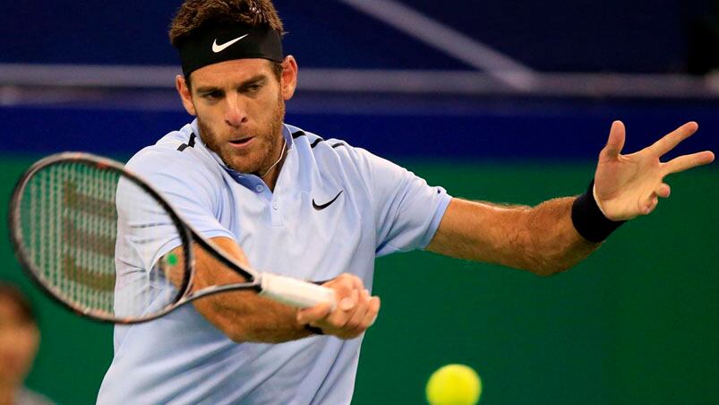 Del Potro no pudo con Roger Federer.