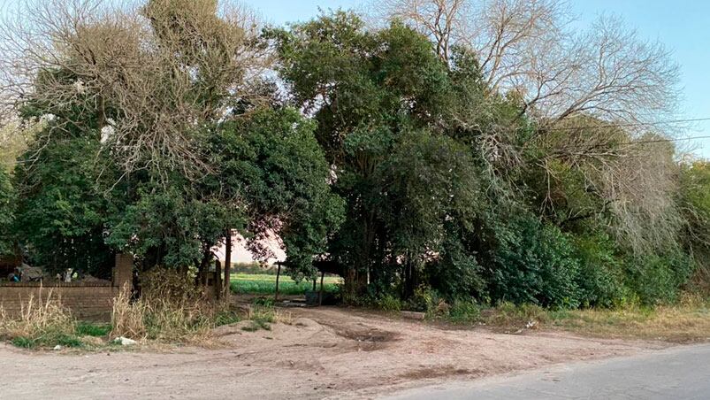 Delincuentes abrieron fuego, hirieron a un hombre y amenazaron a un nene.