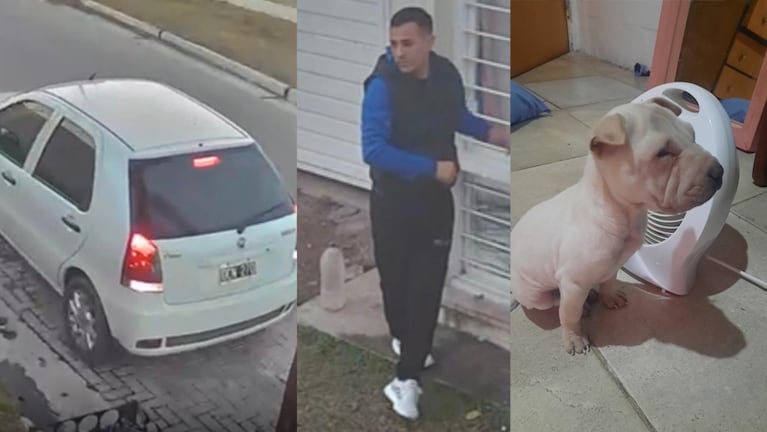 Delincuentes le entraron a la casa y le robaron hasta el perro.