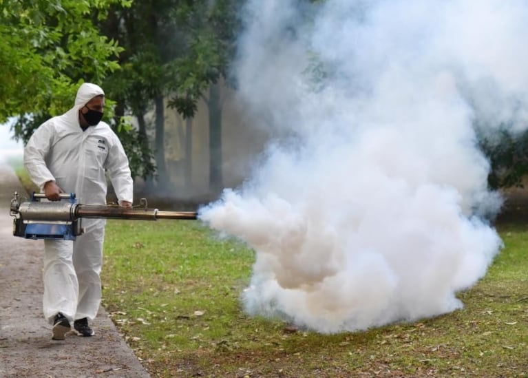 Dengue: cómo es el cronograma de fumigación y descacharreo de este viernes 