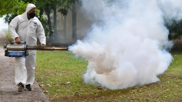 Dengue: cómo es el cronograma de fumigación y descacharreo de este viernes