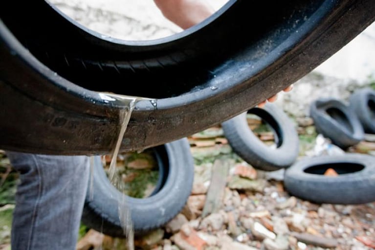 Dengue: hay dos casos “importados” en Córdoba