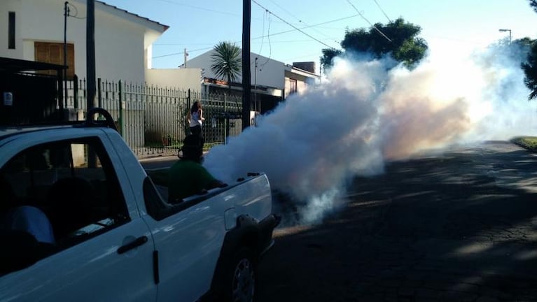 Dengue: se confirmaron 35 nuevos casos en Córdoba