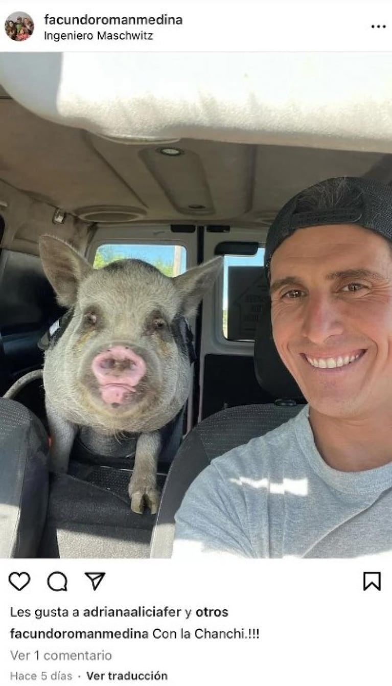 Denuncian que adoptó un cerdo como mascota pero lo hizo a la parrilla