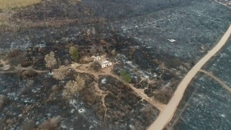 Denuncian que los incendios fueron intencionales para usurpar tierras