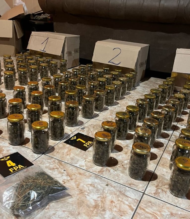 Desbarataron un megavivero de marihuana en Córdoba: las impactantes fotos