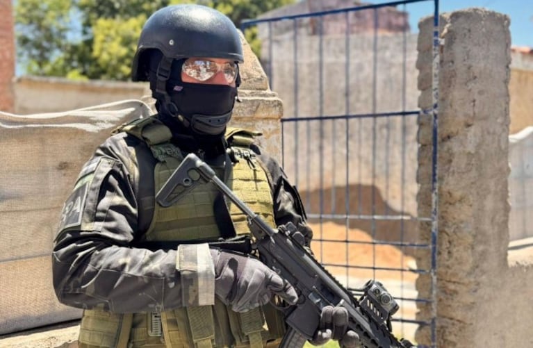 Descubrieron plantación de marihuana en Córdoba. (Imagen: Ministerio Público Fiscal).