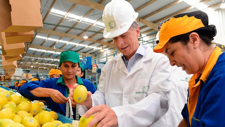 Desde 2001, que Argentina no despachaba limones a Estados Unidos.