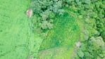 Desde el aire, la gigantesca plantación en Salta. 