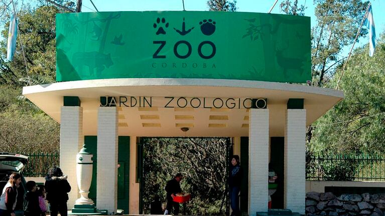 Desde el Gobierno municipal aseguraron que los animales se encuentran en buen estado.