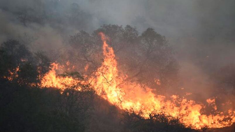 Desde hace cinco días, el fuego arrasó con fuerza sobre las Sierras de Córdoba. Foto: Lucio Casalla/El Doce