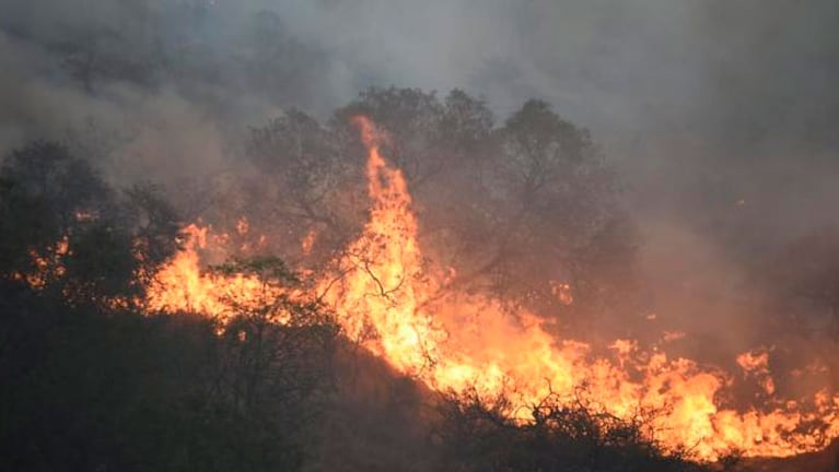 Desde hace cinco días, el fuego arrasó con fuerza sobre las Sierras de Córdoba. Foto: Lucio Casalla/El Doce