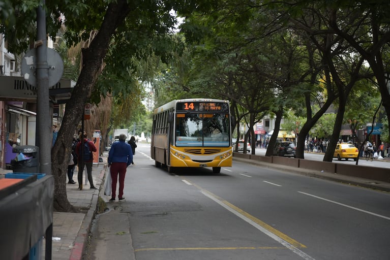 Desde la Municipalidad dieron a conocer el esquema de servicios.