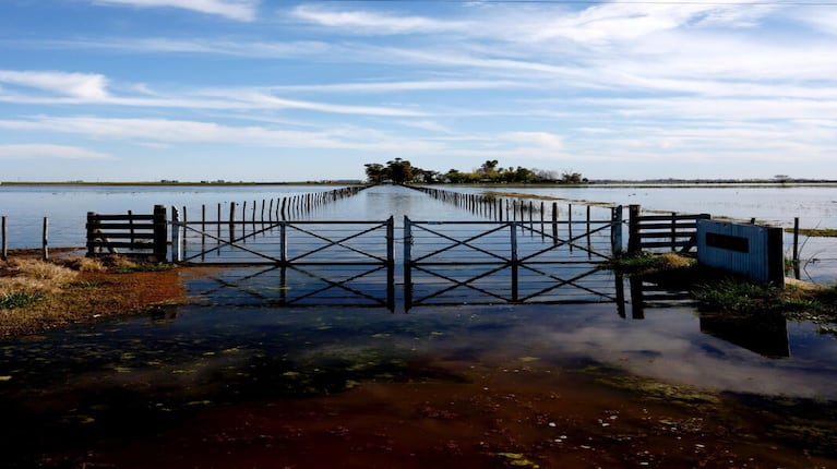 Desde septiembre alertan por las consecuencias de las inundaciones en campos bonaerenses.
