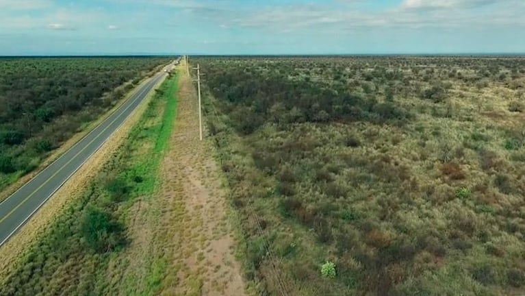 Desmonte químico: la muerte silenciosa del bosque nativo