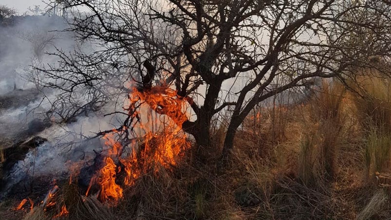 Después de una noche de mucho trabajo, controlaron el incendio.