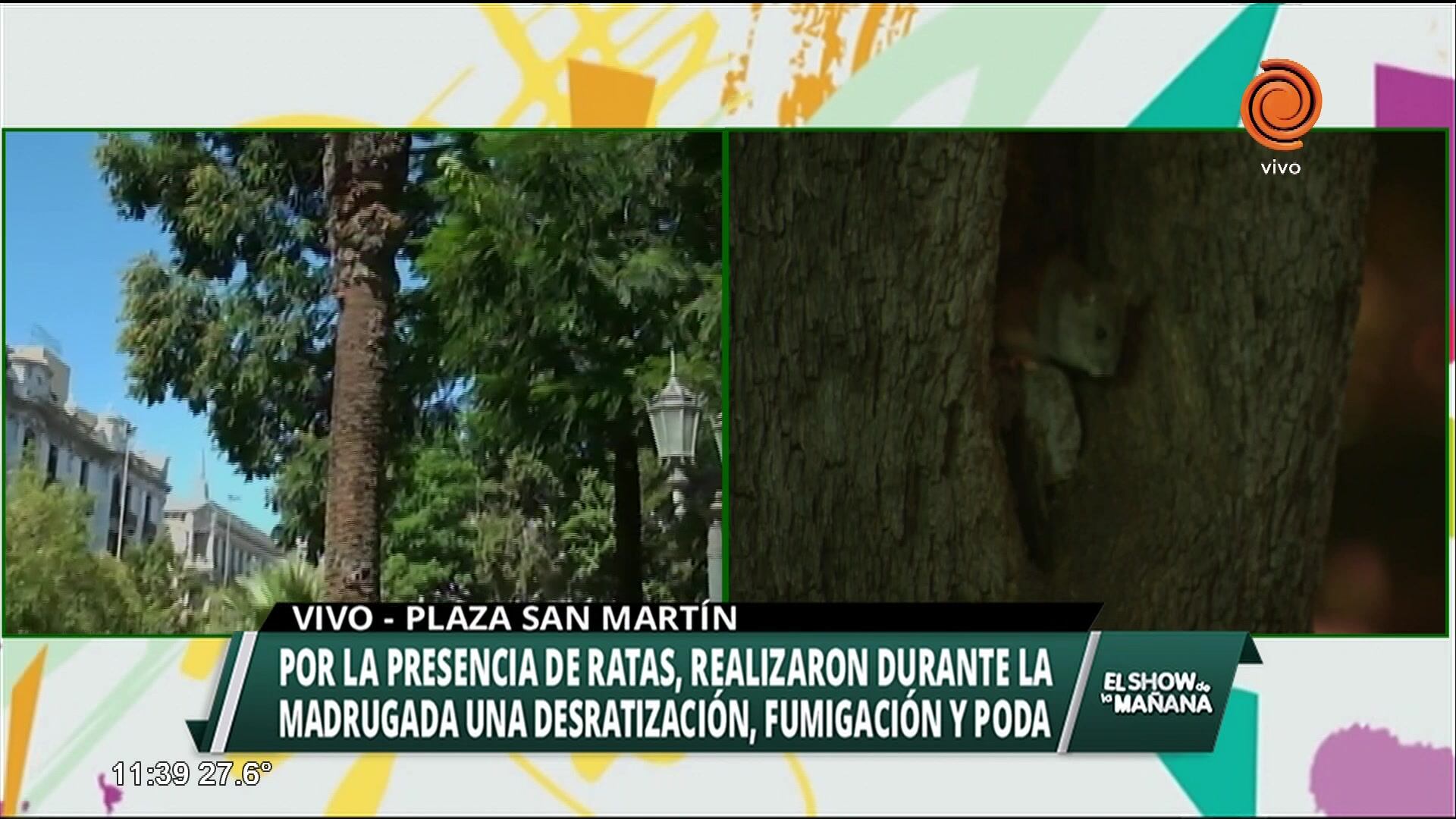 Desratización de la Plaza San Martín